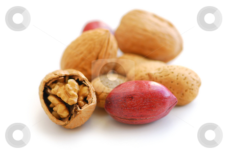 To use this stock image in your creative project, please select the size you need over to the right and click the "Add to Cart" button.
Your downloaded image will come with the Cutcaster watermark removed so don’t worry about the watermark you see on this page. Assorted nuts stock photo, Assorted whole nuts - walnuts, pecans, almonds - isolated on white background by Elena Elisseeva