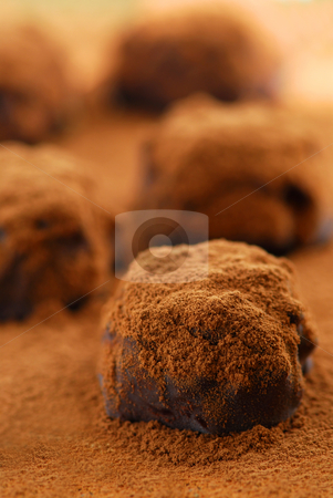 To use this stock image in your creative project, please select the size you need over to the right and click the "Add to Cart" button.
Your downloaded image will come with the Cutcaster watermark removed so don’t worry about the watermark you see on this page. Chocolate truffles stock photo, Macro image of dark chocolate truffles sprinkled with cocoa powder by Elena Elisseeva