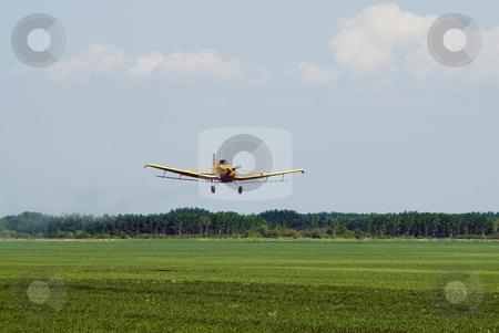 To use this stock image in your creative project, please select the size you need over to the right and click the "Add to Cart" button.
Your downloaded image will come with the Cutcaster watermark removed so don’t worry about the watermark you see on this page. Landing plane stock photo, A small plane landing in a grassy field by Richard Nelson