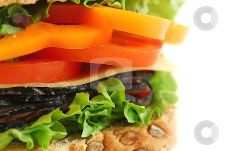To use this stock image in your creative project, please select the size you need over to the right and click the "Add to Cart" button.
Your downloaded image will come with the Cutcaster watermark removed so don’t worry about the watermark you see on this page. Sandwich stock photo, Big healthy sandwich with vegetables and meat close up by Elena Elisseeva