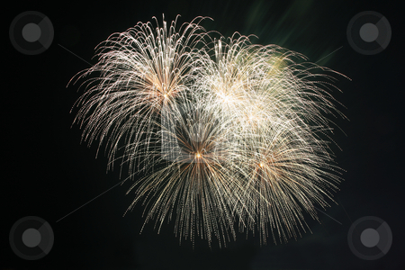 To use this stock image in your creative project, please select the size you need over to the right and click the "Add to Cart" button.
Your downloaded image will come with the Cutcaster watermark removed so don’t worry about the watermark you see on this page. Koosh ball fireworks stock photo, Koosh ball fireworks against the dark sky by Jonas Marcos San Luis