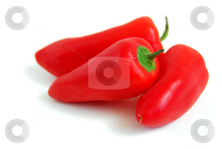 To use this stock image in your creative project, please select the size you need over to the right and click the "Add to Cart" button.
Your downloaded image will come with the Cutcaster watermark removed so don’t worry about the watermark you see on this page. Red peppers stock photo, Red peppers on white background by Elena Elisseeva