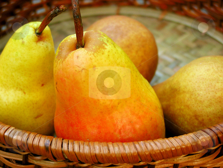 To use this stock image in your creative project, please select the size you need over to the right and click the "Add to Cart" button.
Your downloaded image will come with the Cutcaster watermark removed so don’t worry about the watermark you see on this page. Pears in a basket stock photo, Colorful bartlett pears in a basket by Elena Elisseeva