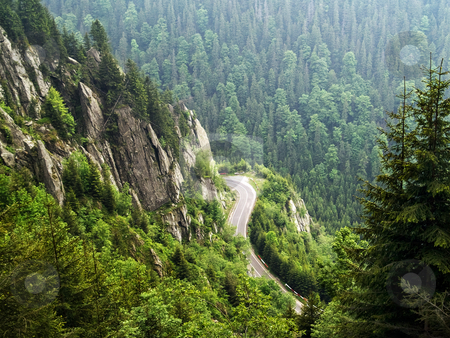 To use this stock image in your creative project, please select the size you need over to the right and click the "Add to Cart" button.
Your downloaded image will come with the Cutcaster watermark removed so don’t worry about the watermark you see on this page. Forest on mountain stock photo, Forest on cloudy mountains in a summer day by Adrian Costea
