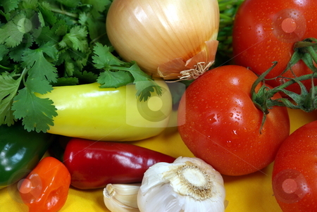 To use this stock image in your creative project, please select the size you need over to the right and click the "Add to Cart" button.
Your downloaded image will come with the Cutcaster watermark removed so don’t worry about the watermark you see on this page. Vine Ripened Tomatos And Chilis stock photo, Fresh tomatos and other vegetables for salsa by Lynn Bendickson