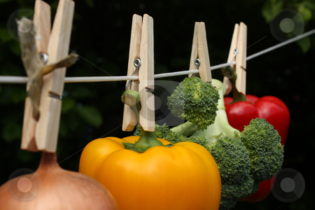 To use this stock image in your creative project, please select the size you need over to the right and click the "Add to Cart" button.
Your downloaded image will come with the Cutcaster watermark removed so don’t worry about the watermark you see on this page. How Clean Is Your Food? stock photo, A concept shot relating to organic and healthy eating, and chemical and pesticide use. A yellow bell pepper, a red bell pepper, an onion, and a head of broccoli hung on a clothesline with wooden pegs. by Jessica Tooley