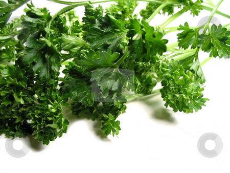 To use this stock image in your creative project, please select the size you need over to the right and click the "Add to Cart" button.
Your downloaded image will come with the Cutcaster watermark removed so don’t worry about the watermark you see on this page. Fresh parsley on white background 2 stock photo, Fresh bright green parsley closeup isolated on white background by Elena Elisseeva