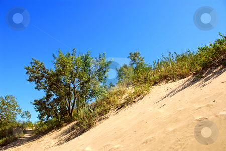 To use this stock image in your creative project, please select the size you need over to the right and click the "Add to Cart" button.
Your downloaded image will come with the Cutcaster watermark removed so don’t worry about the watermark you see on this page. Sand dunes stock photo, Landscape of sand dunes with clear blue sky by Elena Elisseeva