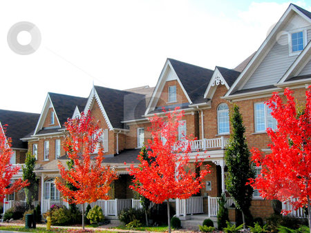 To use this stock image in your creative project, please select the size you need over to the right and click the "Add to Cart" button.
Your downloaded image will come with the Cutcaster watermark removed so don’t worry about the watermark you see on this page. New Townhomes stock photo, Real estate: A row of new townhomes with bright red fall trees by Elena Elisseeva
