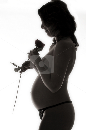 To use this stock image in your creative project, please select the size you need over to the right and click the "Add to Cart" button.
Your downloaded image will come with the Cutcaster watermark removed so don’t worry about the watermark you see on this page. Pregnant rose stock photo, A silhouette of a pregnant woman with a rose by Frenk and Danielle Kaufmann