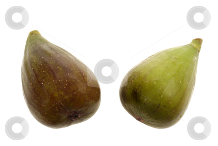 To use this stock image in your creative project, please select the size you need over to the right and click the "Add to Cart" button.
Your downloaded image will come with the Cutcaster watermark removed so don’t worry about the watermark you see on this page. Two Figs stock photo, Two Figs on a white isolated background by Claudia Van Dijk