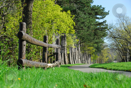 To use this stock image in your creative project, please select the size you need over to the right and click the "Add to Cart" button.
Your downloaded image will come with the Cutcaster watermark removed so don’t worry about the watermark you see on this page. Spring in a park stock photo, Spring park with cycling path by Elena Elisseeva