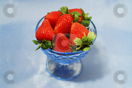 To use this stock image in your creative project, please select the size you need over to the right and click the "Add to Cart" button.
Your downloaded image will come with the Cutcaster watermark removed so don’t worry about the watermark you see on this page. Strawberries in a bowl stock photo, Fresh strawberries in a bowl by Elena Elisseeva