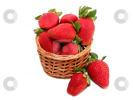 To use this stock image in your creative project, please select the size you need over to the right and click the "Add to Cart" button.
Your downloaded image will come with the Cutcaster watermark removed so don’t worry about the watermark you see on this page. Strawberry basket on white stock photo, Small basket of strawberries isolated on white background by Elena Elisseeva