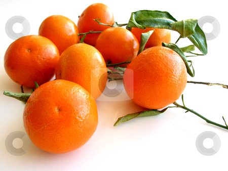 To use this stock image in your creative project, please select the size you need over to the right and click the "Add to Cart" button.
Your downloaded image will come with the Cutcaster watermark removed so don’t worry about the watermark you see on this page. Tangerines with leaves on white 3 stock photo, Orange tangerines with green leaves isolated on white background by Elena Elisseeva