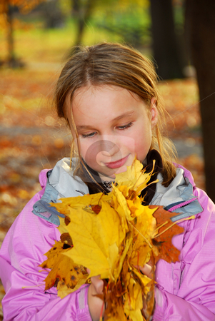 To use this stock image in your creative project, please select the size you need over to the right and click the "Add to Cart" button.
Your downloaded image will come with the Cutcaster watermark removed so don’t worry about the watermark you see on this page. Girl with leaves stock photo, Young girl holding a pile of autumn maple leaves by Elena Elisseeva