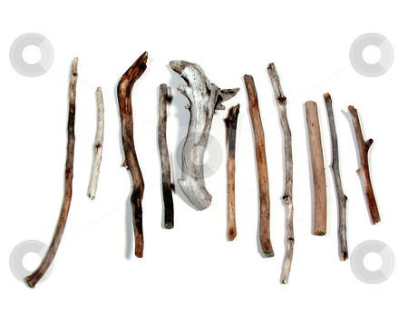 To use this stock image in your creative project, please select the size you need over to the right and click the "Add to Cart" button.
Your downloaded image will come with the Cutcaster watermark removed so don’t worry about the watermark you see on this page. Sea twigs stock photo, Twigs polished by the sea on white background by Elena Elisseeva