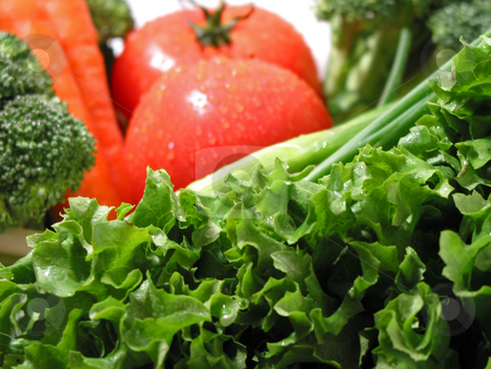 To use this stock image in your creative project, please select the size you need over to the right and click the "Add to Cart" button.
Your downloaded image will come with the Cutcaster watermark removed so don’t worry about the watermark you see on this page. Fresh wet vegetables stock photo, Fresh vegetables with water droplets by Elena Elisseeva