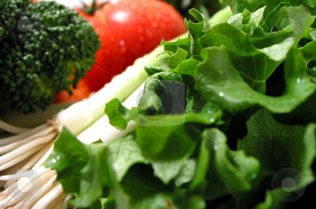 To use this stock image in your creative project, please select the size you need over to the right and click the "Add to Cart" button.
Your downloaded image will come with the Cutcaster watermark removed so don’t worry about the watermark you see on this page. Fresh wet vegetables stock photo, Fresh vegetables with water droplets, shallow dof, focus on lettuce by Elena Elisseeva