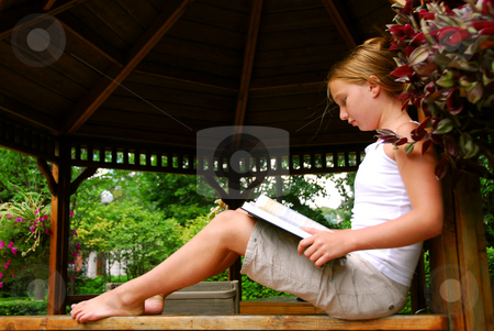 To use this stock image in your creative project, please select the size you need over to the right and click the "Add to Cart" button.
Your downloaded image will come with the Cutcaster watermark removed so don’t worry about the watermark you see on this page. Girl read book stock photo, Young girl sitting in a gazeebo reading a book by Elena Elisseeva