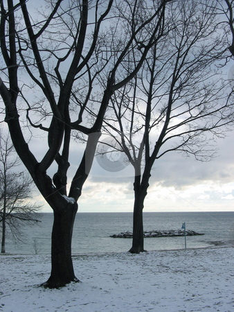 To use this stock image in your creative project, please select the size you need over to the right and click the "Add to Cart" button.
Your downloaded image will come with the Cutcaster watermark removed so don’t worry about the watermark you see on this page. Winter trees on lakeshore stock photo, Black silhouettes of leafeless winter trees on the background of steel blue sky and lake by Elena Elisseeva