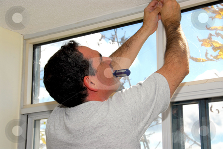 To use this stock image in your creative project, please select the size you need over to the right and click the "Add to Cart" button.
Your downloaded image will come with the Cutcaster watermark removed so don’t worry about the watermark you see on this page. Handyman stock photo, Man installing window blinds in a house by Elena Elisseeva