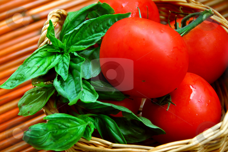 To use this stock image in your creative project, please select the size you need over to the right and click the "Add to Cart" button.
Your downloaded image will come with the Cutcaster watermark removed so don’t worry about the watermark you see on this page. Tomatoes and basil stock photo, Fresh tomatoes and green basil in a basket by Elena Elisseeva