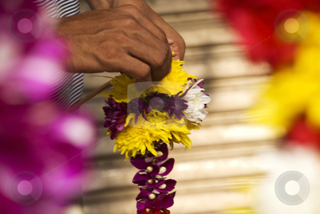 To use this stock image in your creative project, please select the size you need over to the right and click the "Add to Cart" button.
Your downloaded image will come with the Cutcaster watermark removed so don’t worry about the watermark you see on this page. Flower Garland stock photo, An Indian man making a flower garland at an Hindu Temple by Stefan Breton