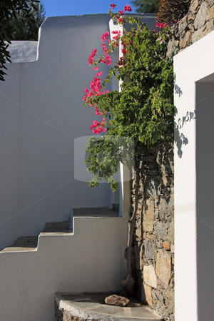 To use this stock image in your creative project, please select the size you need over to the right and click the "Add to Cart" button.
Your downloaded image will come with the Cutcaster watermark removed so don’t worry about the watermark you see on this page. Greek Island Detail stock photo, The doorstep of a typical greek island house in Mykonos island, with nice Bougainvillea flowers by Georgios Alexandris