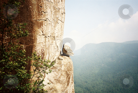 To use this stock image in your creative project, please select the size you need over to the right and click the "Add to Cart" button.
Your downloaded image will come with the Cutcaster watermark removed so don’t worry about the watermark you see on this page. Devils Head stock photo, Natural rock formation called Devil's Head in the Smokey Mountains by Marburg