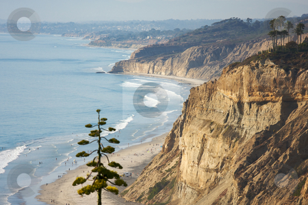 To use this stock image in your creative project, please select the size you need over to the right and click the "Add to Cart" button.
Your downloaded image will come with the Cutcaster watermark removed so don’t worry about the watermark you see on this page. Torrey Pines Beach and Coastline stock photo, Torrey Pines Beach and Coast of San Diego, California by Andy Dean