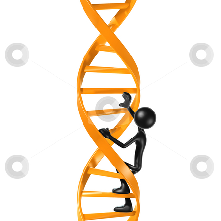 To use this stock image in your creative project, please select the size you need over to the right and click the "Add to Cart" button.
Your downloaded image will come with the Cutcaster watermark removed so don’t worry about the watermark you see on this page. Climbing DNA Ladder stock photo, A Concept And Presentation Figure in 3D by LuMaxArt