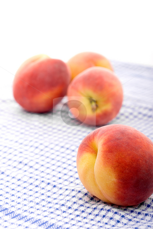 To use this stock image in your creative project, please select the size you need over to the right and click the "Add to Cart" button.
Your downloaded image will come with the Cutcaster watermark removed so don’t worry about the watermark you see on this page. Fresh peaches on a kitchen towel stock photo, Shallow focus fresh peaches on a kitchen towel by Vince Clements