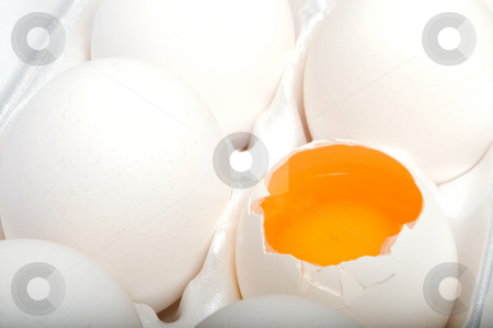 To use this stock image in your creative project, please select the size you need over to the right and click the "Add to Cart" button.
Your downloaded image will come with the Cutcaster watermark removed so don’t worry about the watermark you see on this page. Broken Egg stock photo, A broken egg in an egg carton. by Robert Byron