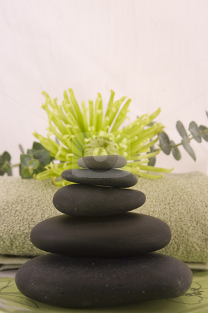 To use this stock image in your creative project, please select the size you need over to the right and click the "Add to Cart" button.
Your downloaded image will come with the Cutcaster watermark removed so don’t worry about the watermark you see on this page. Massage stones stock photo, Massage Stones, Green Aster, and Towel 4 by Ariana Bauer
