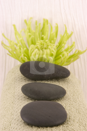 To use this stock image in your creative project, please select the size you need over to the right and click the "Add to Cart" button.
Your downloaded image will come with the Cutcaster watermark removed so don’t worry about the watermark you see on this page. Massage stones stock photo, Massage Stones, Green Aster, and Green Towel by Ariana Bauer