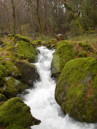 To use this stock image in your creative project, please select the size you need over to the right and click the "Add to Cart" button.
Your downloaded image will come with the Cutcaster watermark removed so don’t worry about the watermark you see on this page. Mossy Stream stock photo, A small stream flows between mossy rocks in a Welsh forest. by Jessica Tooley