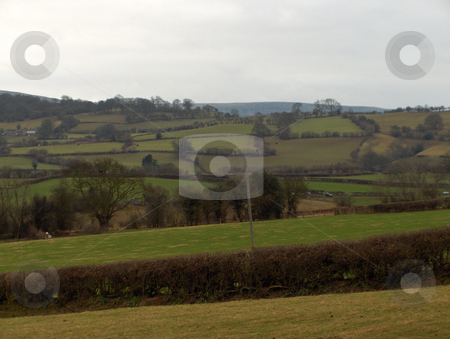 To use this stock image in your creative project, please select the size you need over to the right and click the "Add to Cart" button.
Your downloaded image will come with the Cutcaster watermark removed so don’t worry about the watermark you see on this page. Pastures stock photo, Hedges and walls form small pastures near Hay-On-Wye, Wales. by Jessica Tooley
