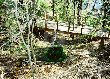 To use this stock image in your creative project, please select the size you need over to the right and click the "Add to Cart" button.
Your downloaded image will come with the Cutcaster watermark removed so don’t worry about the watermark you see on this page. Water Fountain and Wood Bridge stock photo, Water flowing from moss covered fountain in front of a wooden bridge by Marburg