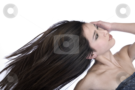 To use this stock image in your creative project, please select the size you need over to the right and click the "Add to Cart" button.
Your downloaded image will come with the Cutcaster watermark removed so don’t worry about the watermark you see on this page. Mixed raced young beauty with long hair stock photo, Studio portrait of a beautiful mixed race, vietnamese girl with long hair by Frenk and Danielle Kaufmann