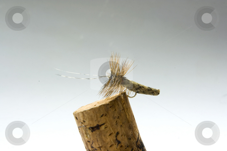 To use this stock image in your creative project, please select the size you need over to the right and click the "Add to Cart" button.
Your downloaded image will come with the Cutcaster watermark removed so don’t worry about the watermark you see on this page. Fly stock photo, An imitation of a fly to use it for trout fishing by Ivan Montero