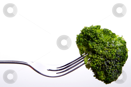 To use this stock image in your creative project, please select the size you need over to the right and click the "Add to Cart" button.
Your downloaded image will come with the Cutcaster watermark removed so don’t worry about the watermark you see on this page. Broccoli on a Fork stock photo, A frozen broccoli floret on a fork. by Robert Byron