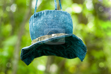 To use this stock image in your creative project, please select the size you need over to the right and click the "Add to Cart" button.
Your downloaded image will come with the Cutcaster watermark removed so don’t worry about the watermark you see on this page. Blue Hat stock photo, A blue hat bird feeder hanging from a tree by Richard Nelson