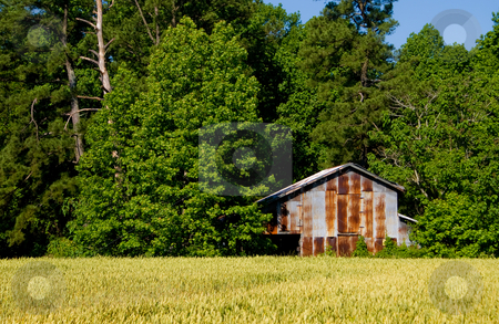 To use this stock image in your creative project, please select the size you need over to the right and click the "Add to Cart" button.
Your downloaded image will come with the Cutcaster watermark removed so don’t worry about the watermark you see on this page. Tobacco Barn stock photo, An old tobacco barn on a farm. by Robert Byron