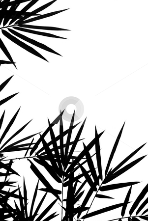 To use this stock image in your creative project, please select the size you need over to the right and click the "Add to Cart" button.
Your downloaded image will come with the Cutcaster watermark removed so don’t worry about the watermark you see on this page. Bamboo Leaves Silhouette Background stock photo, A photographic illustration of black bamboo leaves on a white background by Stefan Breton