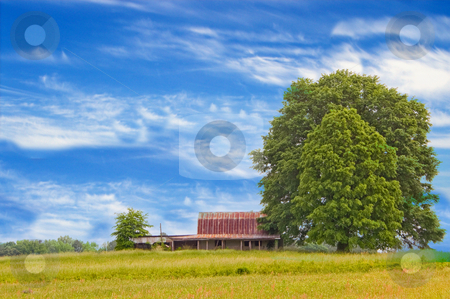 To use this stock image in your creative project, please select the size you need over to the right and click the "Add to Cart" button.
Your downloaded image will come with the Cutcaster watermark removed so don’t worry about the watermark you see on this page. Old Barn stock photo, Agriculture History - An old abandoned barn. by Robert Byron
