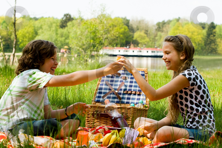 To use this stock image in your creative project, please select the size you need over to the right and click the "Add to Cart" button.
Your downloaded image will come with the Cutcaster watermark removed so don’t worry about the watermark you see on this page. Share the orange stock photo, Two children enjoying a picnic in the summer by Frenk and Danielle Kaufmann