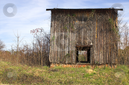 To use this stock image in your creative project, please select the size you need over to the right and click the "Add to Cart" button.
Your downloaded image will come with the Cutcaster watermark removed so don’t worry about the watermark you see on this page. Old Tobacco Barn stock photo, Agriculture History - An old abandoned tobacco barn. by Robert Byron