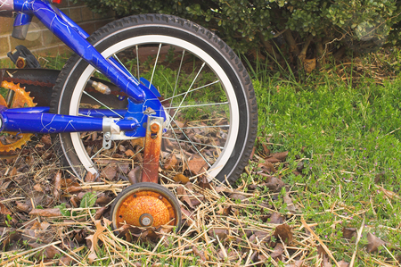To use this stock image in your creative project, please select the size you need over to the right and click the "Add to Cart" button.
Your downloaded image will come with the Cutcaster watermark removed so don’t worry about the watermark you see on this page. Rusty Bike stock photo, An old abandoned and forgotten bicycle rusting away. by Robert Byron