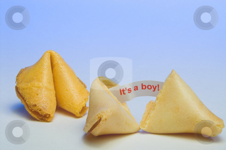 To use this stock image in your creative project, please select the size you need over to the right and click the "Add to Cart" button.
Your downloaded image will come with the Cutcaster watermark removed so don’t worry about the watermark you see on this page. Fortune Cookie - It's a Boy stock photo, A fortune cookie announcing the birth of a baby boy. by Robert Byron